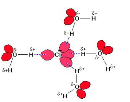 元素物質(zhì)離子檢測